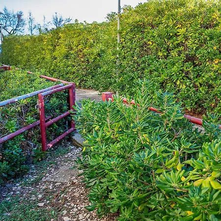 Se040 - Senigallia, Bilocale Fronte Mare Con Giardino